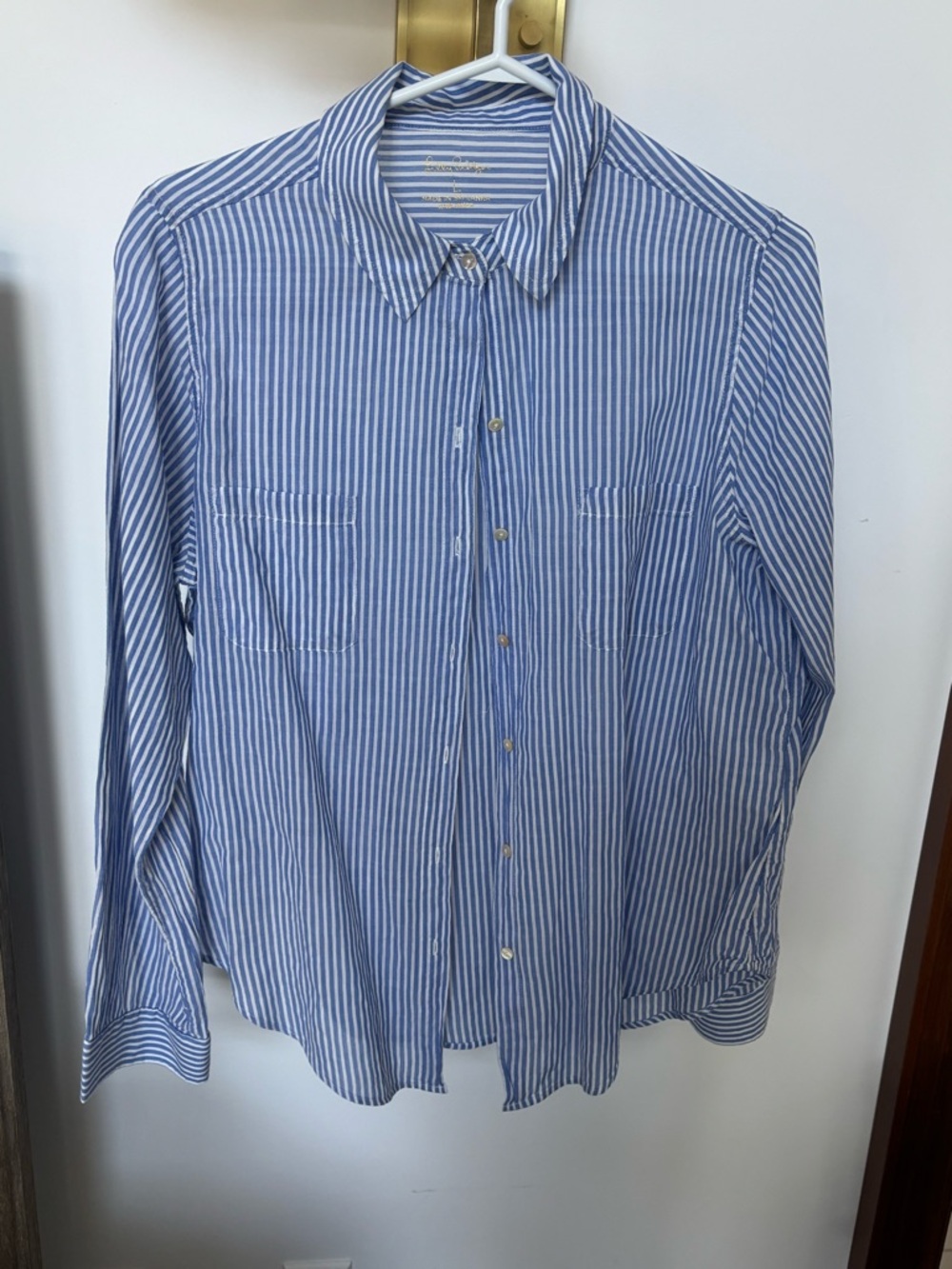 Lilly Pulitzer Blue and White Striped Button-Down Shirt